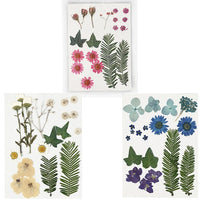Pressed Flowers and Leaves | various variants - image 1