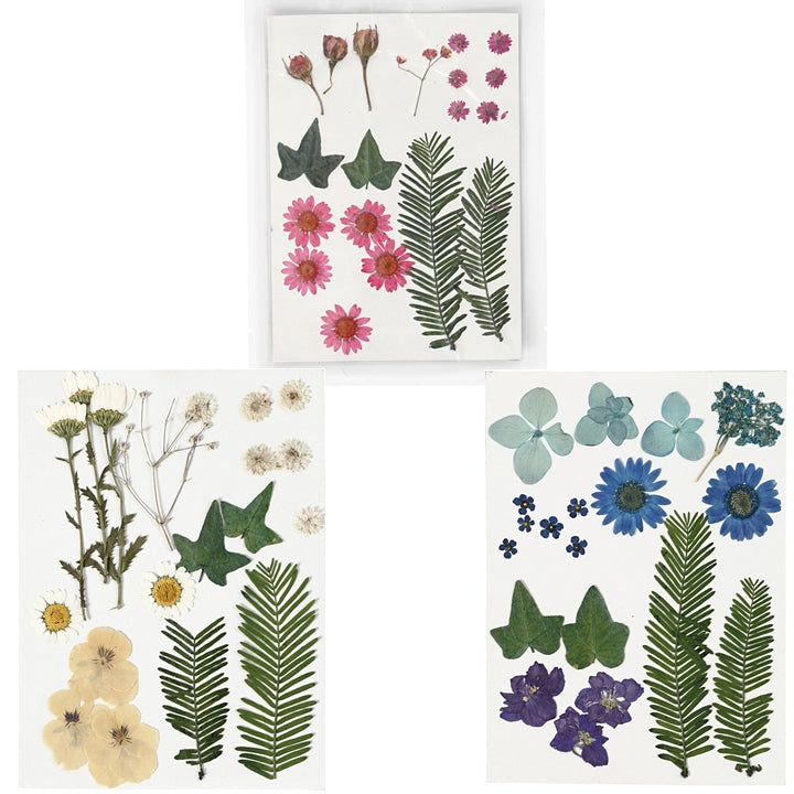 Pressed Flowers and Leaves | various variants - image 1