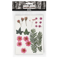 Pressed Flowers and Leaves | various variants - image 2