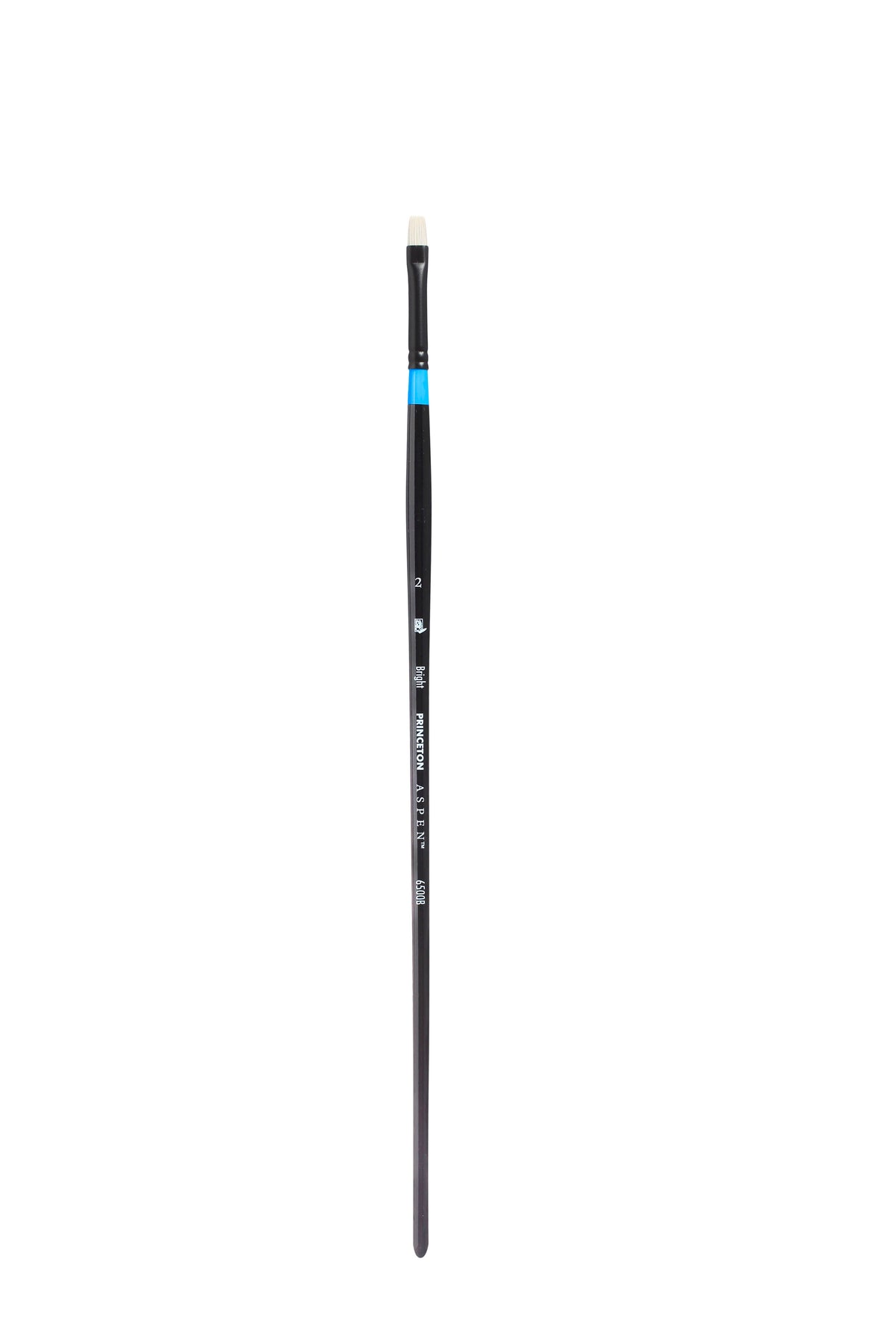 PRINCETON Aspen Bright Synthetic Brush - Long Handle – 2