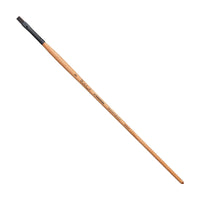 PRINCETON Catalyst Polytip Bright Long Handle Brush – 2
