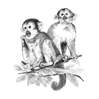 Royal & Langnickel Sketching Set | Choose a Variant – Monkeys
