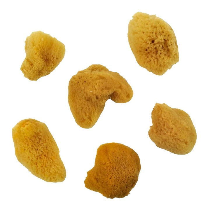 Royal and Langnickel Small Natural Sea Sponges Set of 6 - image 2