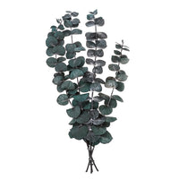 Stabilized Eucalyptus Baby Blue / 4 Stems, Green, 20 cm, image 2