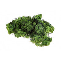 Stabilized Icelandic Moss 500 g | various colors, image 1